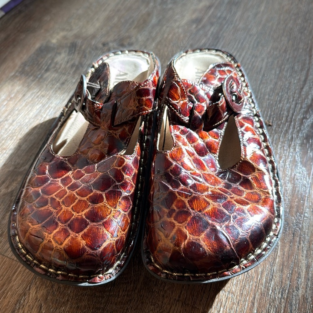 Almost new alligator print Alegria shoes